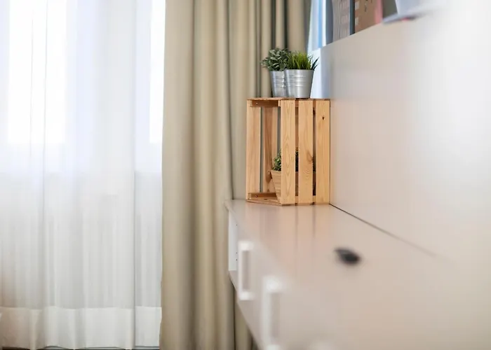 Cooper L Capitol 게스트하우스